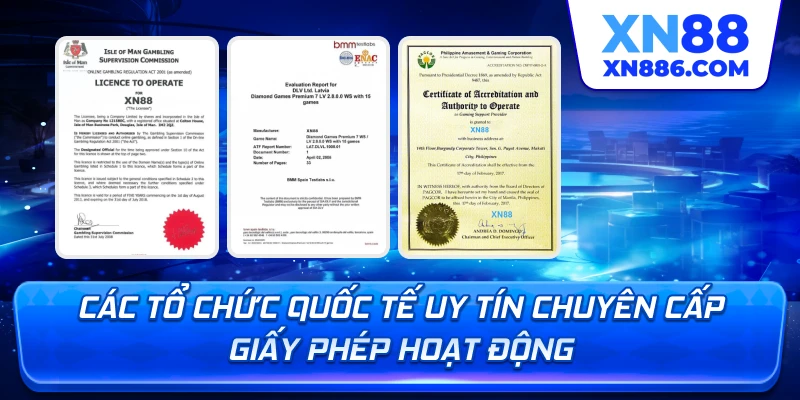 Các tổ chức quốc tế uy tín chuyên cấp giấy phép hoạt động
