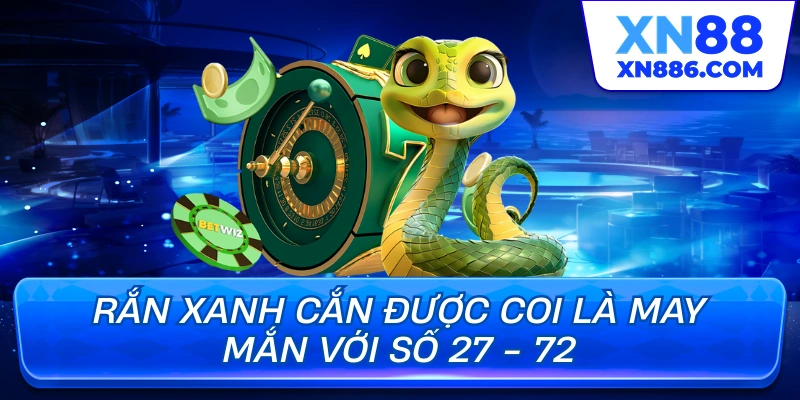 Rắn xanh cắn được coi là may mắn với số 27 - 72